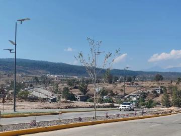 OJO INVERSIONISTA