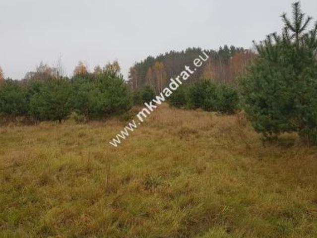 Ojrzanów, 13347 m² Działka