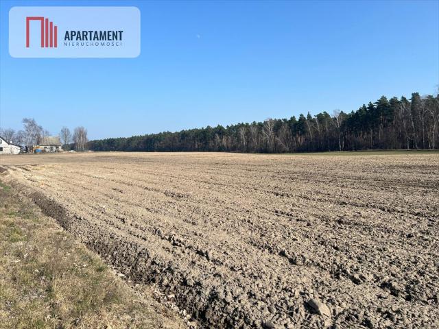 Działka 5767 m2 blisko lasu w Ojrzanowie — idealna na własną enklawę
