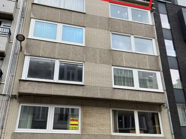 OOSTENDE DICHTBIJ BIBLIOTHEEK, ZEEDIJK EN DE JAPANSE TUIN