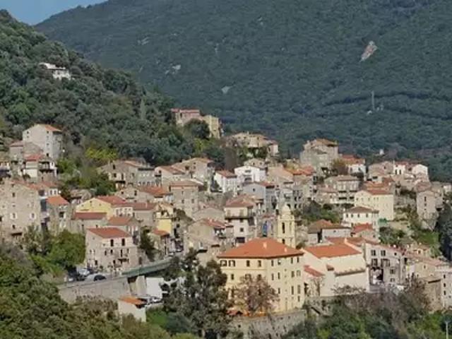 Olmeto 20113 Achat / Vente appartement 1 pièce t1 jardin