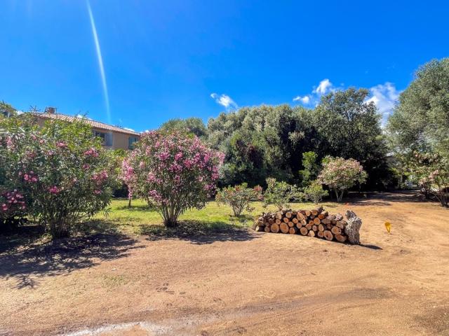 Olmeto Vente Terrain 20