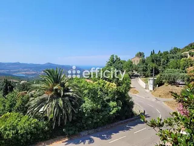 Olmeta di Tuda 20232 Achat / Vente appartement 3 pièces t3 cave