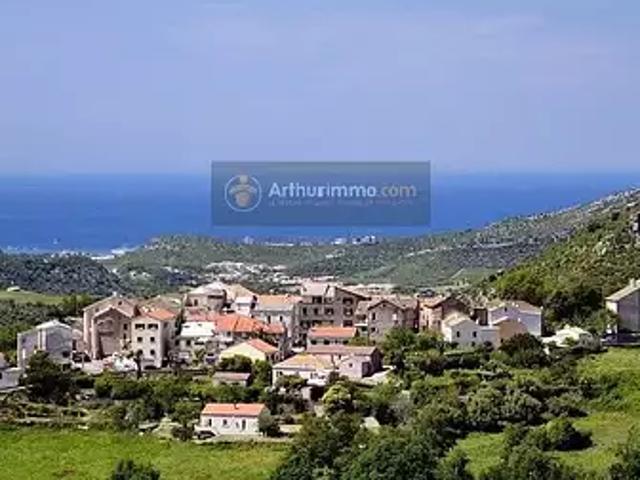 Olmeta di Tuda 20232 Achat / Vente maison 8 pièces t8