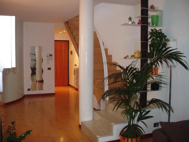 Olmo 2 camere