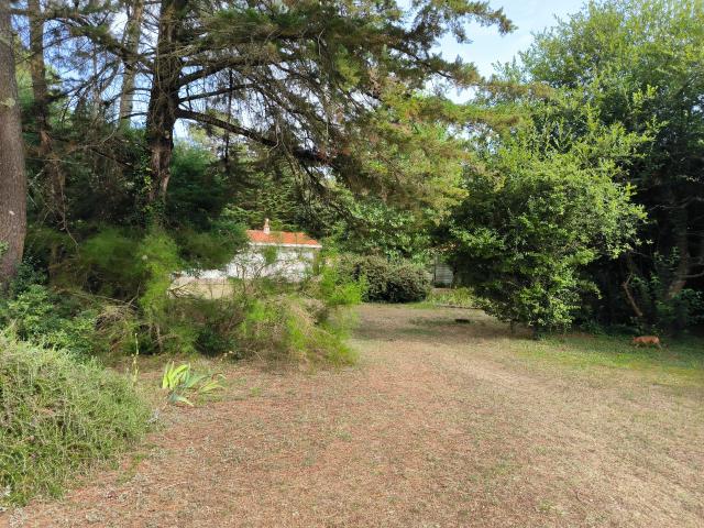 Olonne sur Mer. Maison de plain pied en impasse proche plage. 282 900 € FAI