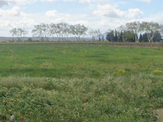 Olonzac Vente Terrain 34