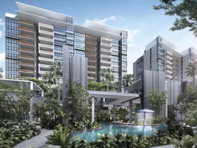 Ola D19, Condominium