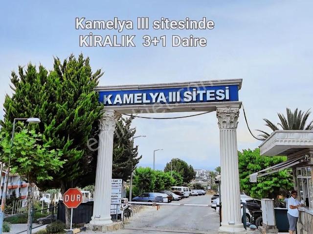 Çolaklı Kamelya Iıı Sitesinden