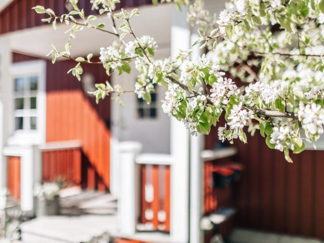 Olas väg 9A