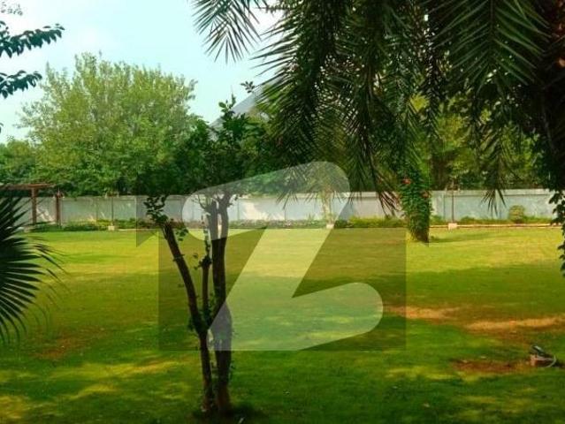 Old Livable House On 500 SQYD In Prime F 8 For Sale F 8