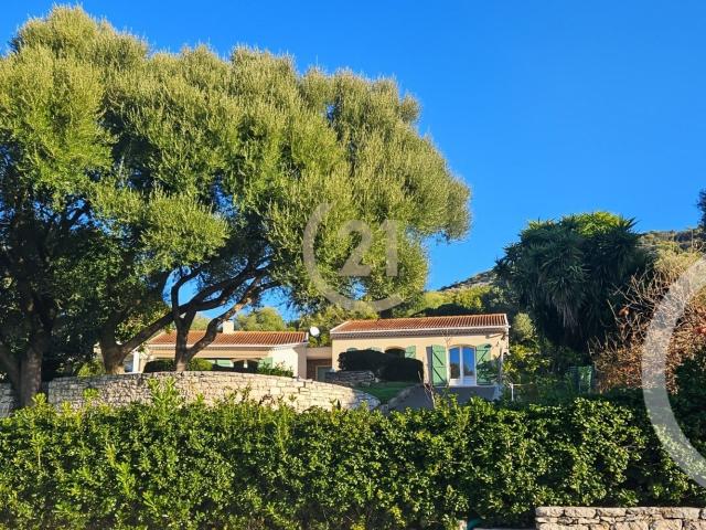 Oletta Vente Maison 20