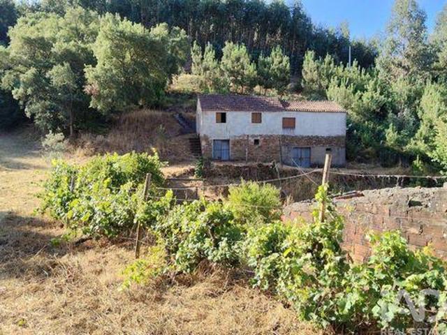 Oleiros Castelo Branco 100263897