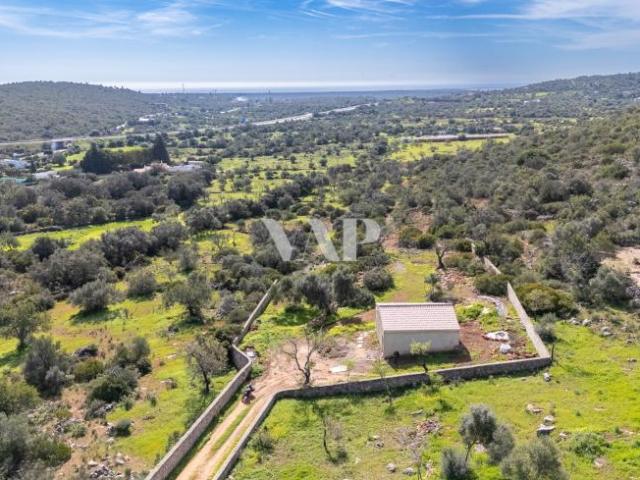 Olhão Algarve 87797776