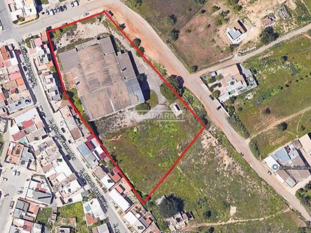 Olhão Algarve 98333778