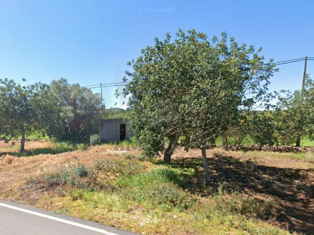 Olhão Faro 103003166