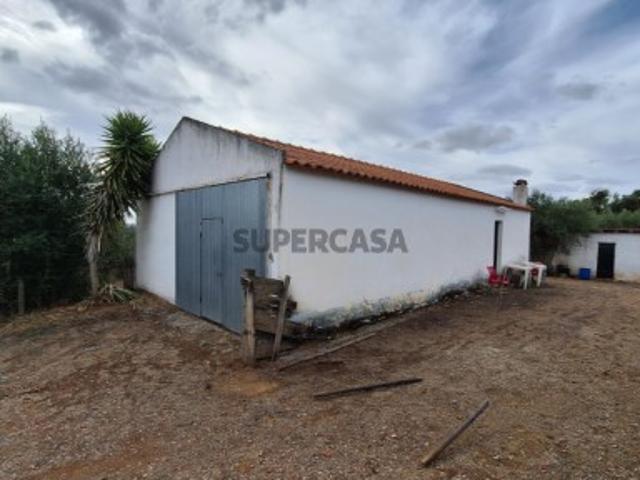 Olivais com Apoio Agrícola