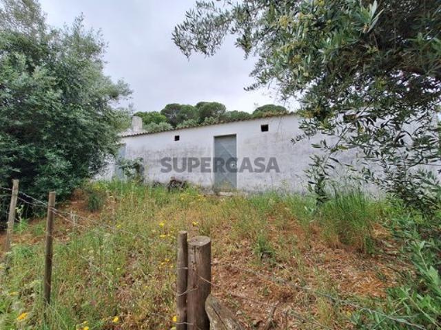 Olival com apoio agrícola não registado
