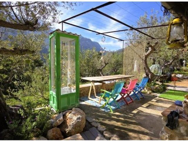 Olivar Con Caseta de Piedra y Vistas a la Tramuntana en Sóller
