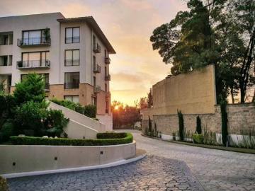 departamento en venta en olivar de los padres roof garden privado y amenidades