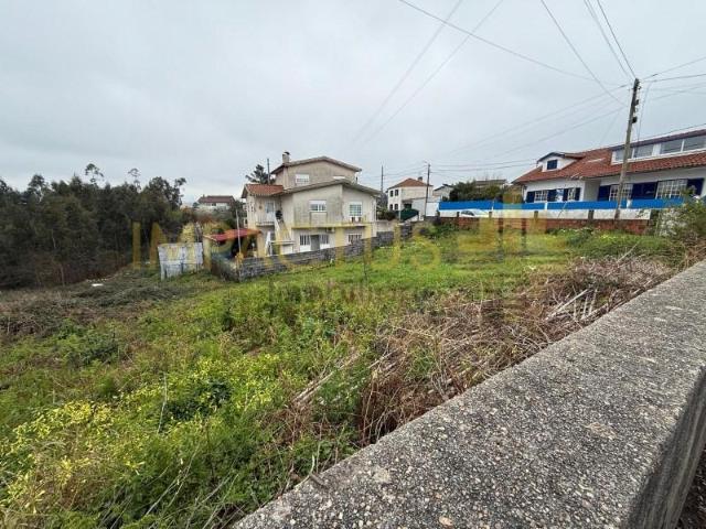 Oliveira de Azeméis Oliveira de Azeméis 100256963