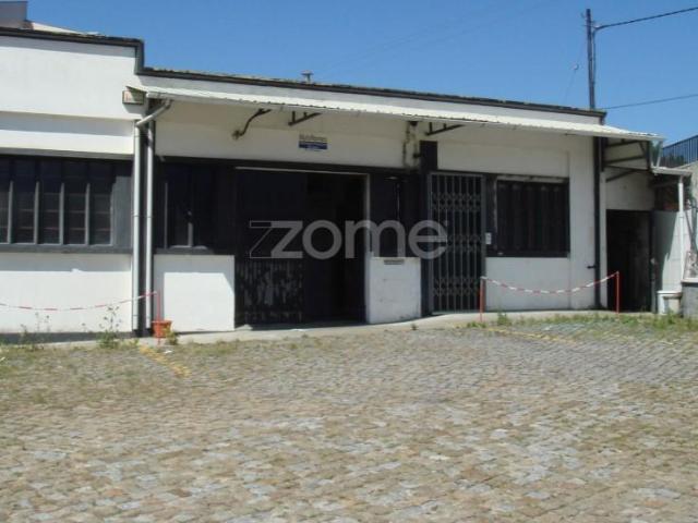 Oliveira de Azeméis Oliveira de Azeméis 102811034