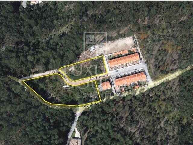 Oliveira de Azeméis Oliveira de Azeméis 103817833