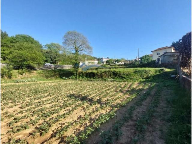 Oliveira de Azeméis Oliveira de Azeméis 87513184