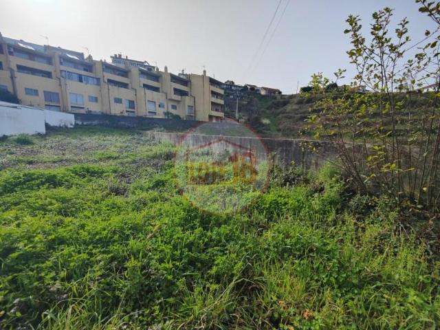 Oliveira de Azeméis Oliveira de Azeméis 89936747