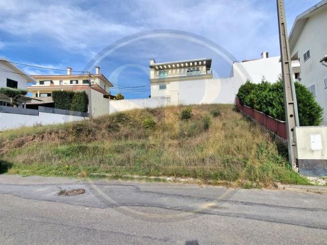 Oliveira de Azeméis Oliveira de Azeméis 95417221