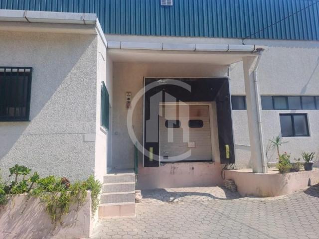 Oliveira de Azeméis Oliveira de Azeméis 95417255