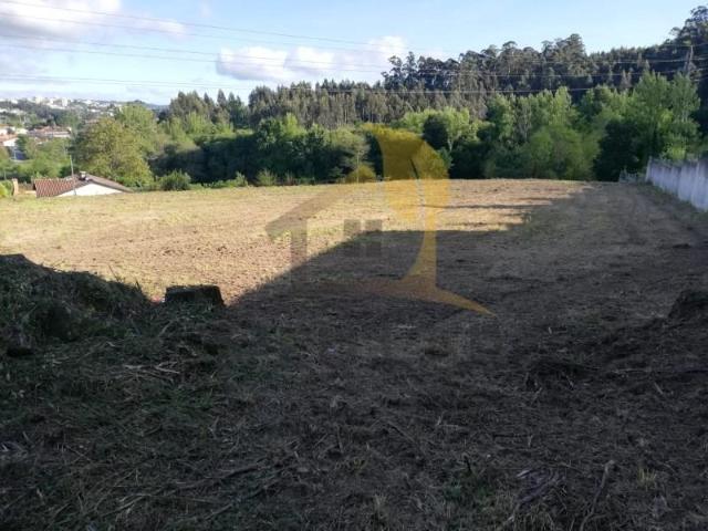 Oliveira de Azeméis Oliveira de Azeméis 96613165