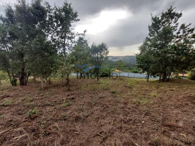Oliveira de Azeméis Oliveira de Azeméis 97440125
