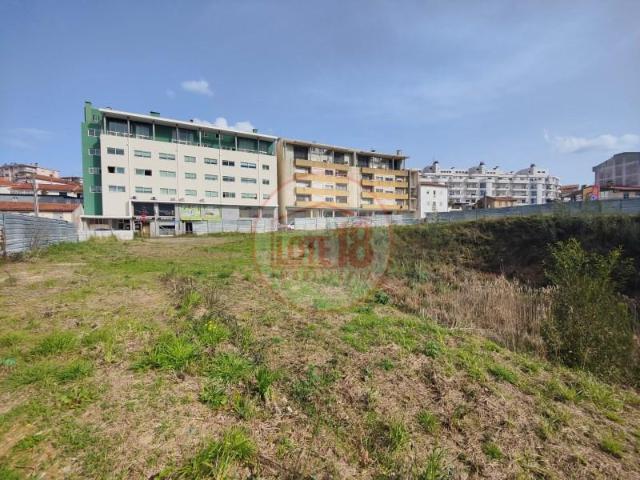 Oliveira de Azeméis Oliveira de Azeméis 99801842