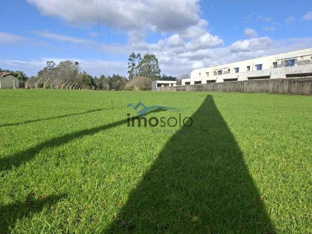 Oliveira de Azeméis Oliveira de Azeméis 99886353