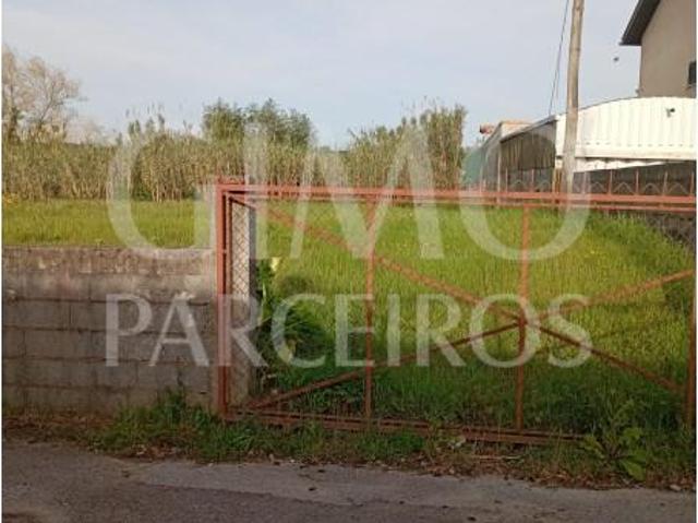 Oliveira do Bairro Oliveira do Bairro LS102925106