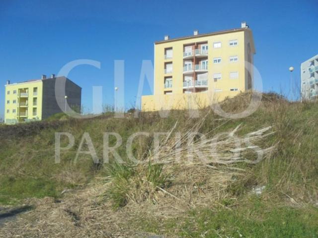 Oliveira do Bairro Oliveira do Bairro 103749224
