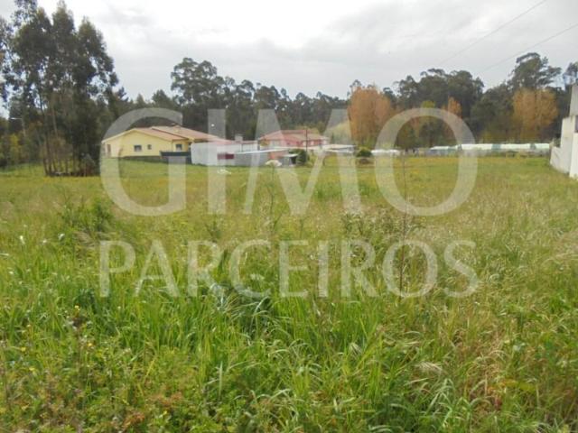 Oliveira do Bairro Oliveira do Bairro 104047827