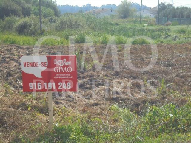 Oliveira do Bairro Oliveira do Bairro 104242140