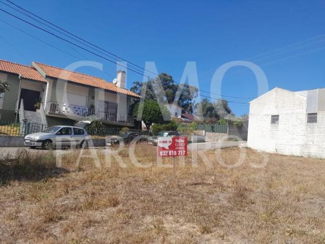 Oliveira do Bairro Oliveira do Bairro 104763340