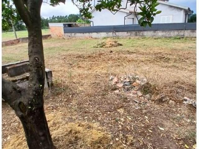 Oliveira do Bairro Oliveira do Bairro 104830631