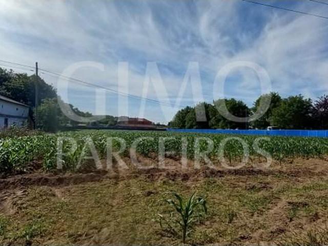 Oliveira do Bairro Oliveira do Bairro 87099354