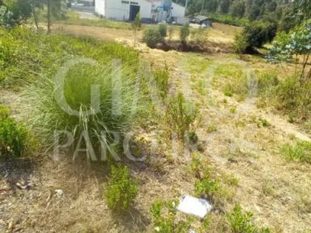 Oliveira do Bairro Oliveira do Bairro 88085983