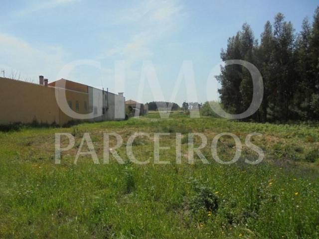Oliveira do Bairro Oliveira do Bairro 97122746