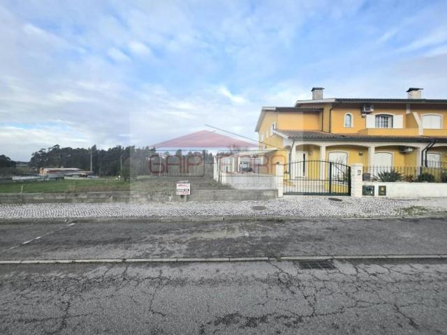 Oliveira do Bairro Oliveira do Bairro 98534965