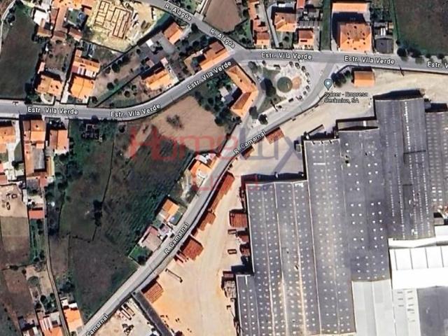 Oliveira do Bairro Oliveira do Bairro 99648742