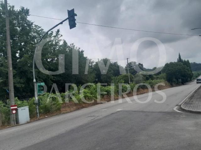 Oliveira do Bairro Oliveira do Bairro 93024708