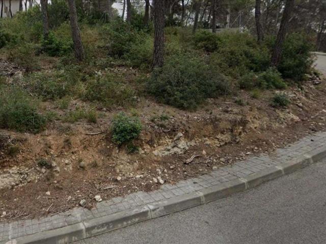 OLIVELLA EL GARRAF