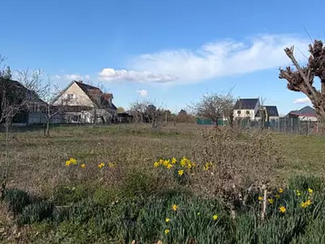 Olivet 45160 Achat / Vente terrain