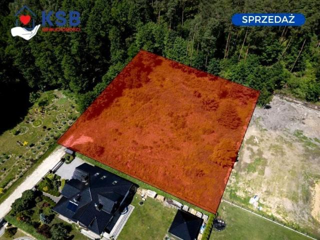 Oliwkowa 3 019 m², Ostrowiec Świętokrzyski
